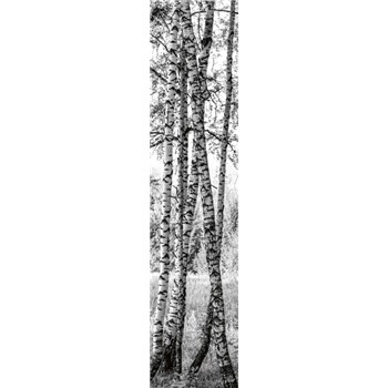 Samolepiace dekoračné pásy brezy rozmer 60 cm x 260 cm - POSLEDNÉ KUSY