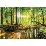 Vliesové fototapety les a potok, rozmer 416 cm x 254 cm