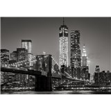 Vliesové fototapety New York rozmer 368 cm x 254 cm
